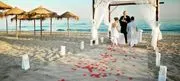 Catalina Weddings logo