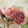 Lux Wedding Florist image 2