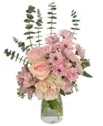 Buds & Blooms logo