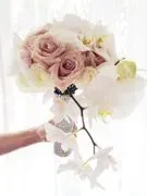 Lifetime Weddings and Events logo
