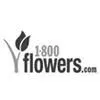Events Wholesale image 4