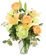 Pannell Designs & Events image 4