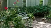 Sage Cottage logo