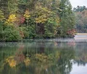 Unicoi State Park & Lodge image 4