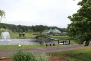 Willow Tree Farms image 2