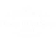 Running Cedar Springs logo