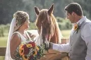Twin Oaks Manor Barn Weddings & Receptions image 3