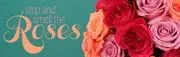 Wild Rozie's Flower Market logo
