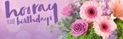 Steele-Cooter Flower, Gift, & Boutique logo