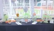 Elite Events & Party Rentals logo