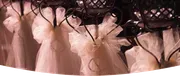 Rose Hill Weddings image 3