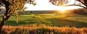 Taos Country Club image 3