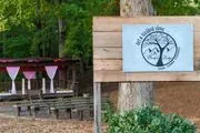 The Blissful Ridge Art & Wedding Venue logo