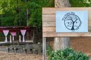 The Blissful Ridge Art & Wedding Venue image 2