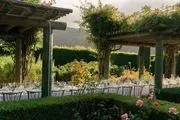 Dori Anderson Events image 2