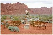 Cactus & Lace Weddings image 3