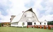 The Eighty Four logo