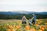 Sinkland Farms image 2
