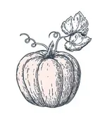 Sinkland Farms image 4