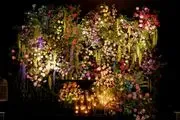 Wedded Events image 3
