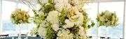 Westchester Floral Decorators logo