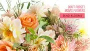 Blooms and Things logo