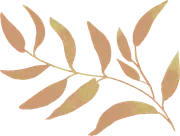 Williams on the Lake logo