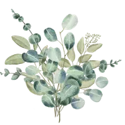 La Bella Vista logo