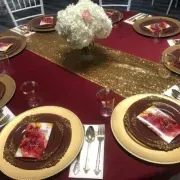 Party Galore LLC image 3