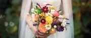 WEDDINGvortex logo