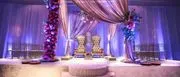 Elegance Decor logo