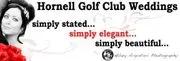 Hornell Golf Club image 2