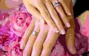 The Wedding Connection logo