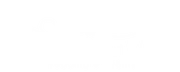 Your Day Your Way Wedding Planning and Boutique logo