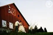 The Silo image 2