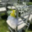 Lovely Lemon Events image 4