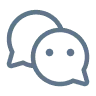 The Wedding Belle logo