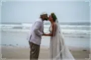 Sea Shell Events image 3
