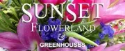 Sunset Flowerland & Greenhouse logo