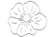 The Bankery & Skowhegan Fleuriste logo