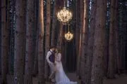 Wilderness Wedding Barn logo