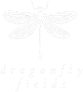 Dragonfly Fields logo