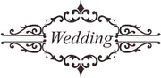 Dragonfly Fields logo