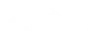 The Northern Lights Saloon logo