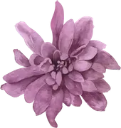 Robert and Lydia Wedding Planning logo