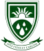 Via Nova School logo