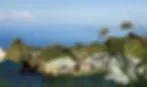 Kona Pacific Public Charter School logo