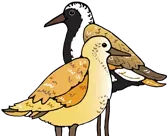 Ahuimanu Elementary School logo