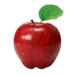 M.O.T. Academy logo