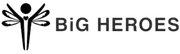 BiG Heroes logo
